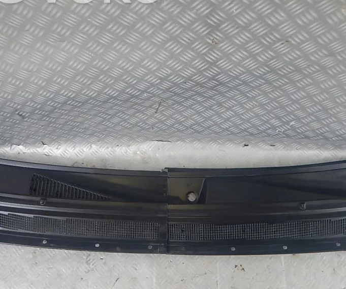 WINDSHIELD WIPER CLADDING(S)