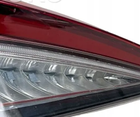 TAIL LIGHT