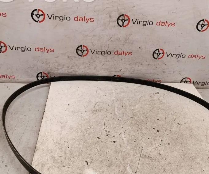 Alternator belt