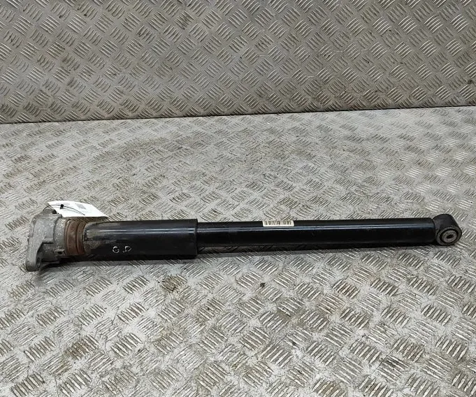 TAGUMINE AMORI