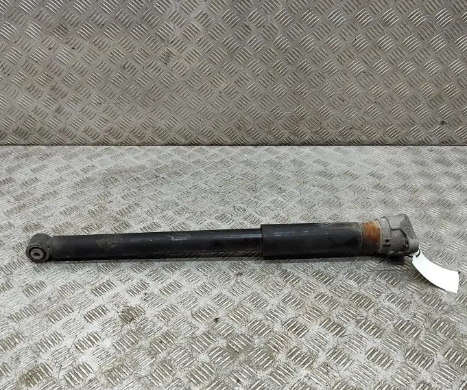 TAGUMINE AMORI