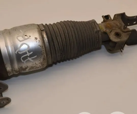 FRONT AIR SHOCK ABSORBER (PNEUMATIC AIR SUSPENSION)