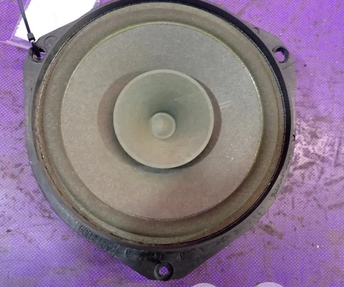LOUDSPEAKER(S) IN THE FRONT DOORS