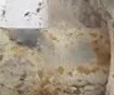 ПЕРЕДНИЙ АМОРТИЗАТОР