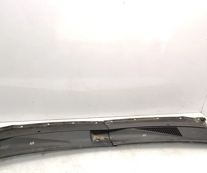 WINDSHIELD WIPER CLADDING(S)